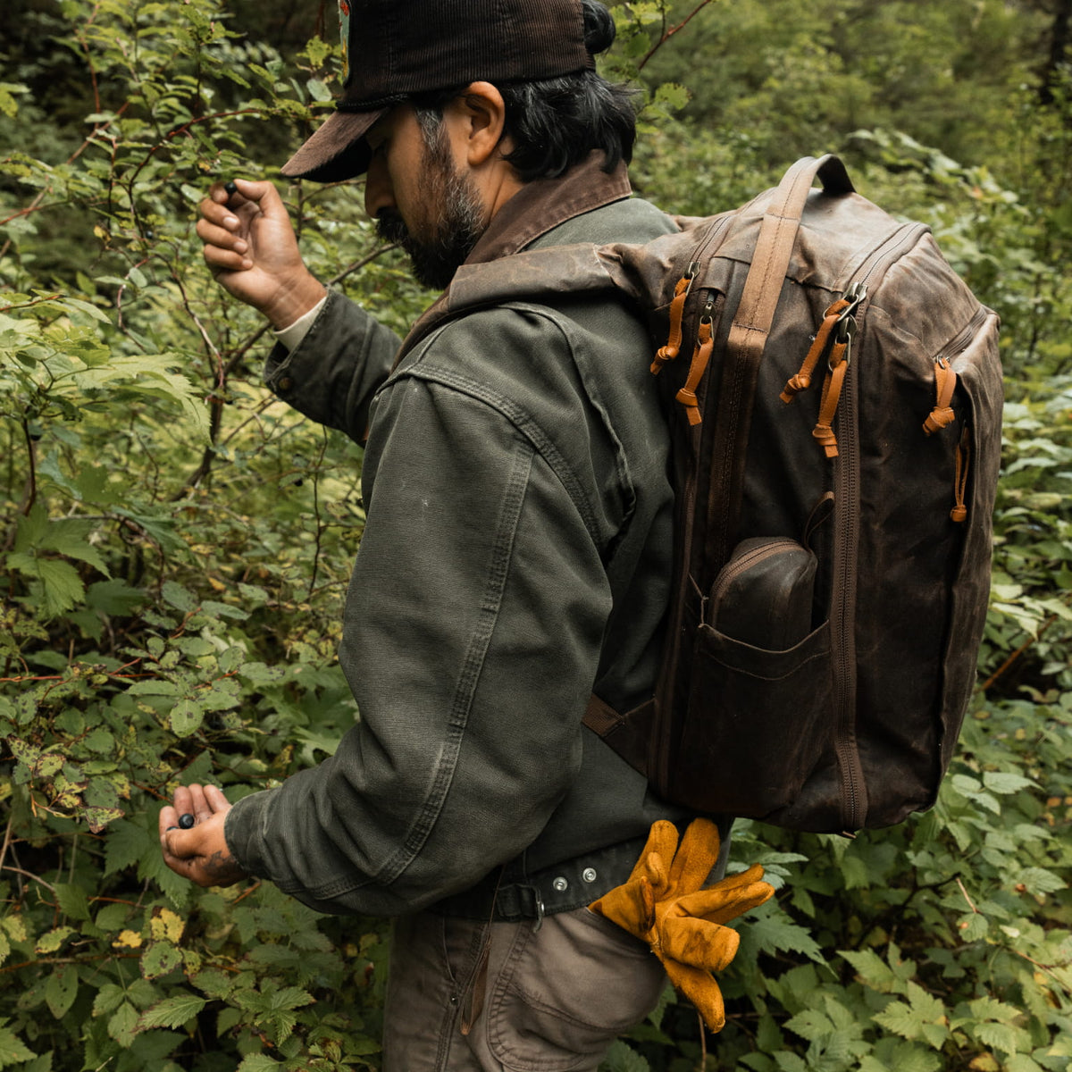 CIVIC Travel Bag 26L in Waxed Canvas - Waxed Tan - Berry Picking  [13012cc-WTN]