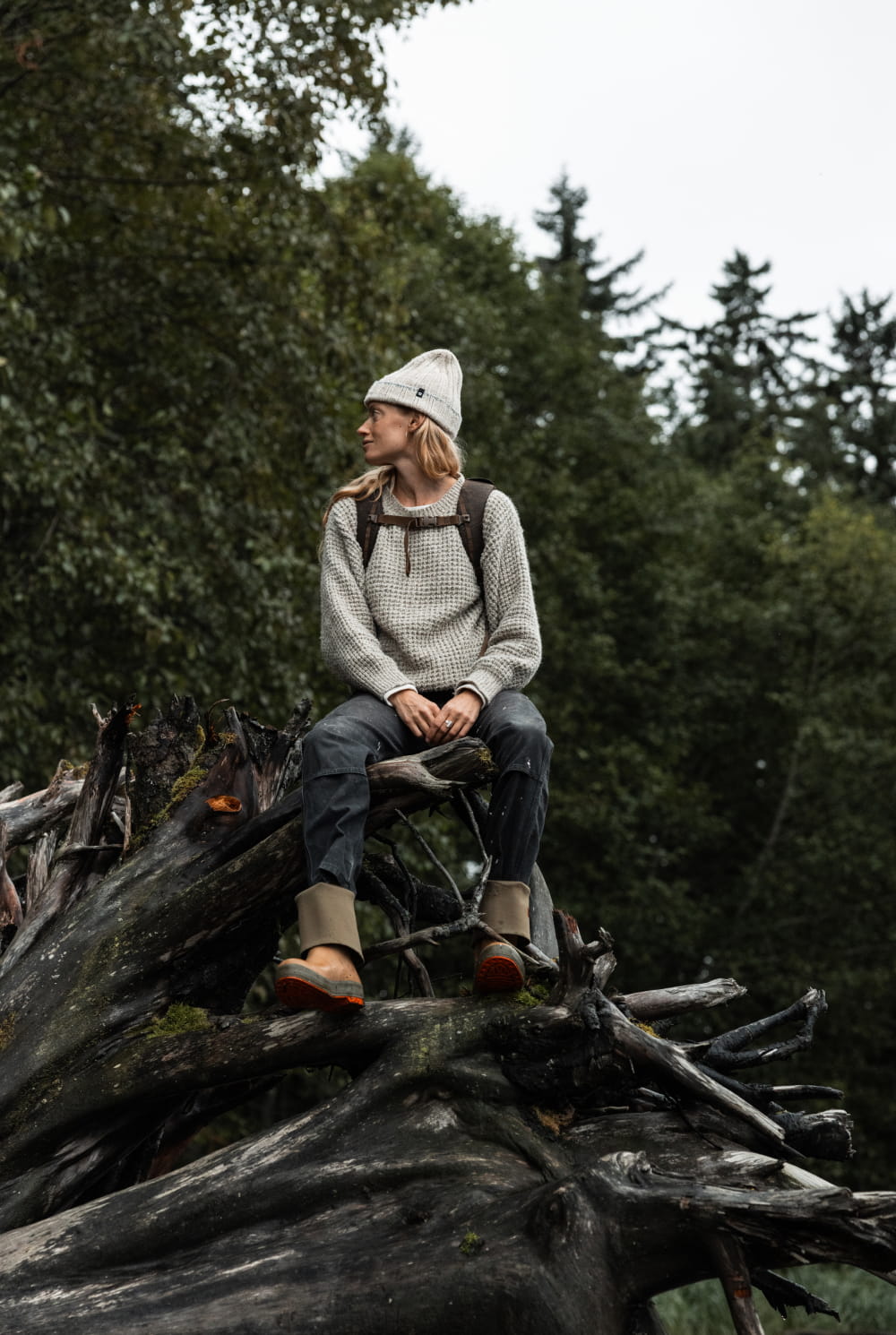 Alaska Wild Blueberries Waxed Canvas Kath