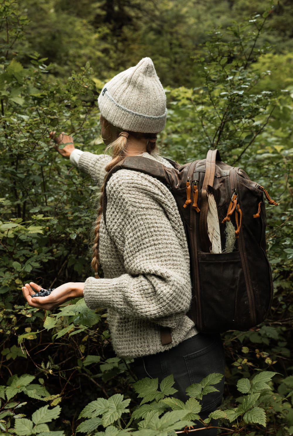 Alaska Wild Blueberries Waxed Canvas Picking Wild Blueberries